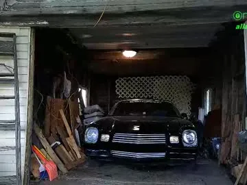 your_dolls – webcam model profile photo Image 18