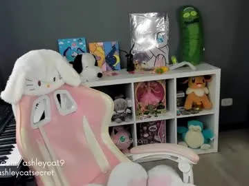ashleycat9 Image 18