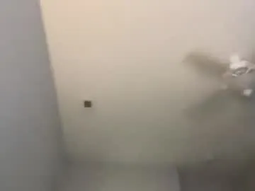 splendid_dolls – webcam model profile photo Image 8