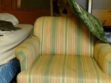 playussoftly – webcam model profile photo Image 17