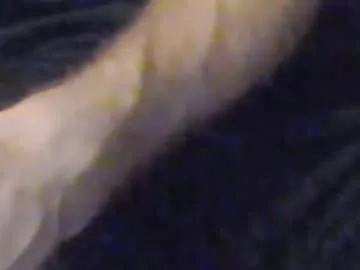 wet_dreamm22 – webcam model profile photo Image 16