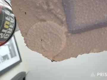 dears_pearlss – webcam model profile photo Image 8