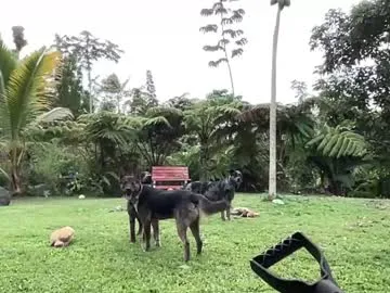 playussoftly – webcam model profile photo Image 14