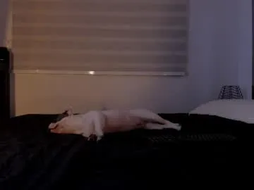 lina_kriss – webcam model profile photo Image 14