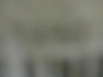 SandraSosa – webcam model profile photo Image 18