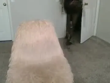 petites_perles – webcam model profile photo Image 17