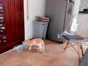 wet_dreamm22 – webcam model profile photo Image 8