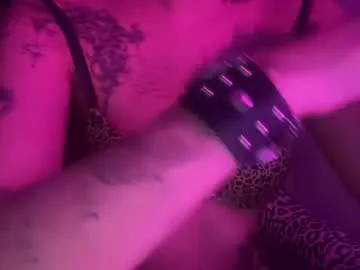 turntpixie Image 4