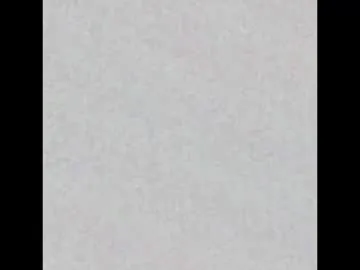 BelleWinter – webcam model profile photo Image 8