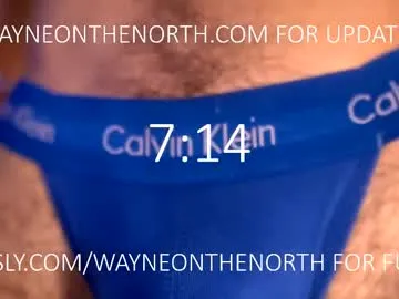 waynenorth Image 11