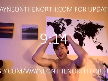 waynenorth Image 17