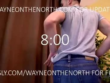 waynenorth Image 4